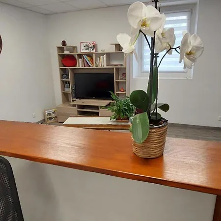 公寓 Agreable T2 50m2 *